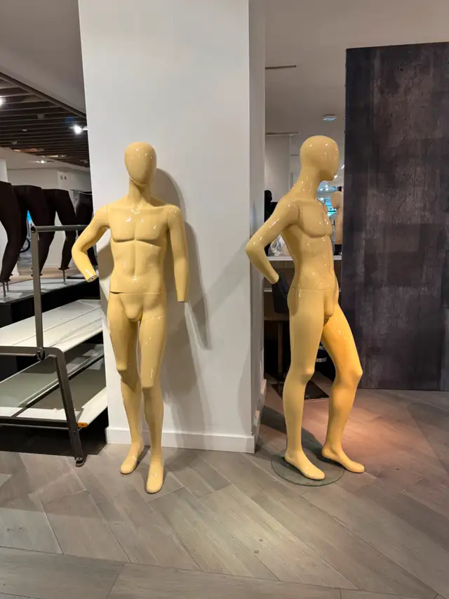 Premium Mannequins for Sale – Excellent Condition – Downtown Tor62863280236801121