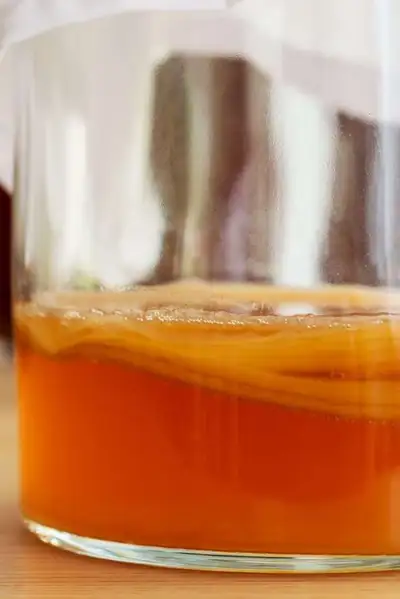 Kombucha SCOBY organic natural probiotic plus 3 cups starter, View more