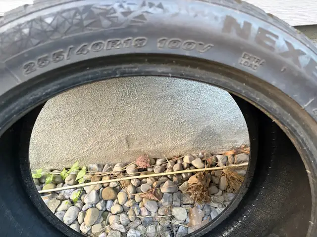 4winter tires with 4separete rims in Tires & Rims in Ottawa - Image 2