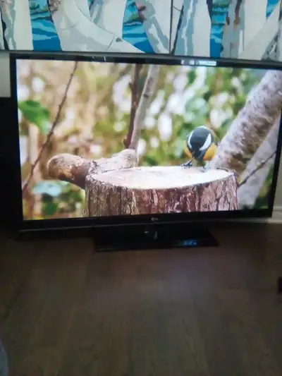 LG PLASMA TV 60 INCH, PRICED TO SELL!, View more