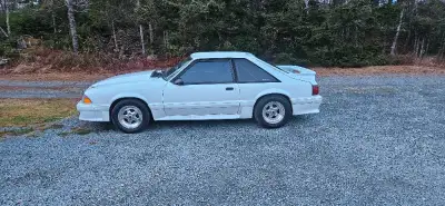 87 foxbody up for sale.Car only has 82k on the body.Car is setup for street/strip.Has the following...