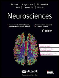 Neurosciences 5e édition de Purves, Augustine, Fitzpatrick, Hall