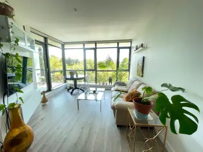 Looking for a clean, organized, and respectful professional person to fill in one bedroom (one medic...