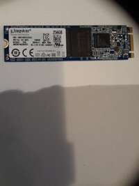 256GB -Kingston SSD M.2 -SATA