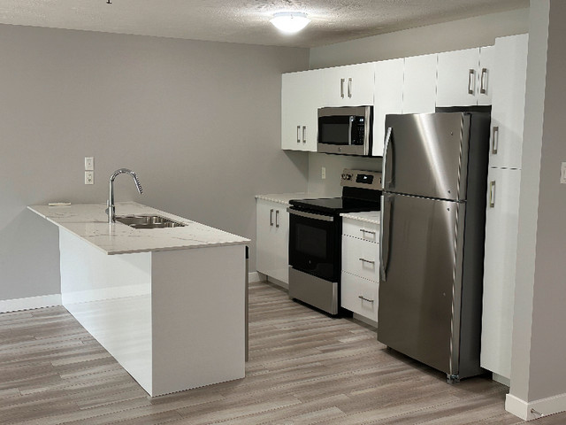 BRAND NEW APARTMENT BUILDING - ULTRA-INCLUSIVE RENT in Long Term Rentals in Moncton - Image 2