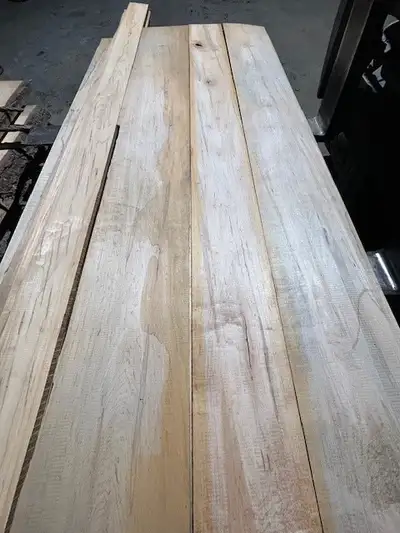 Lot de 2,000PMP séché au four de planche 1’’1/8 Essence : Érable Rouge de type ‘’Ambrosia Maple’’ La...