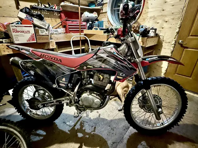 2006 Honda CRF 230F in Dirt Bikes & Motocross in Muskoka - Image 9