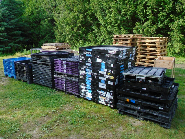 Plastic Pallets in Other Business & Industrial in Guelph