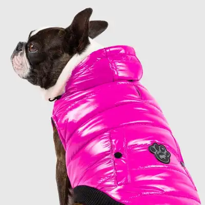 LOW PRICES FOR Dog Rain Boots, Dog Coats, Pawz Boots Flexi Leash, View more