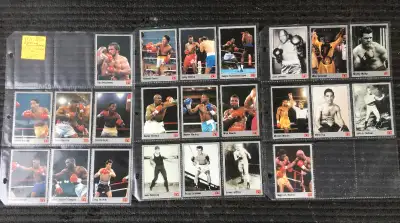 Trever Berbick, Buster Douglas, Doug de Witt, Larry Holmes, Earnie Shavers, Jack Dempsey, Rocky Graz...