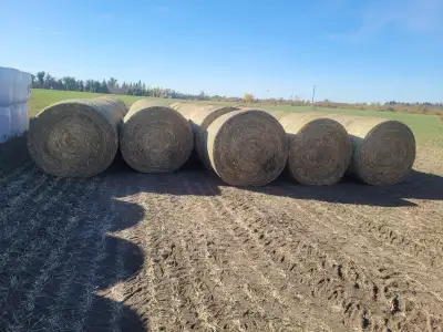 Have various types of feed available. All hay raked with rotary rake, 3.5 wraps of good quality net...
