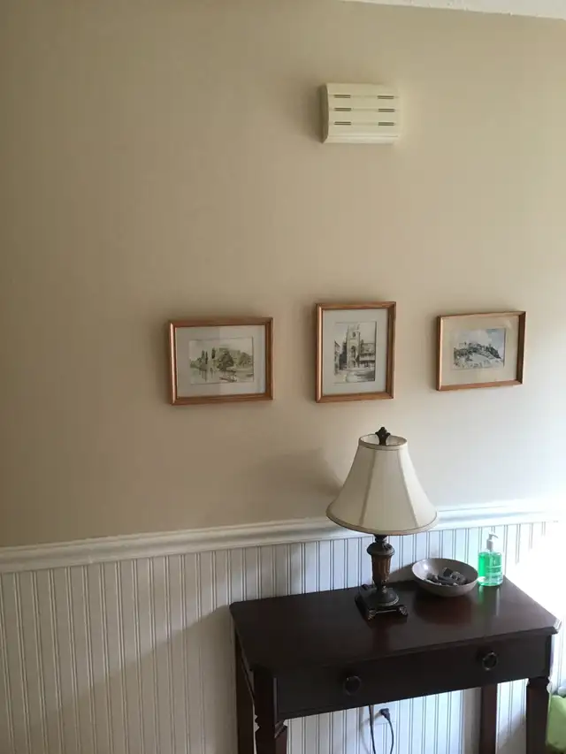 Experienced Painter available in K/W and Cambridge535733719626557443