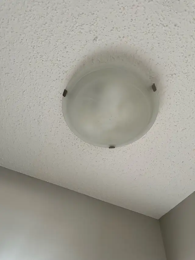 FROSTED ALABASTER CEILING LIGHTS588731276634378245