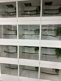Arboreal Snake Enclosures-Brand New*great price*