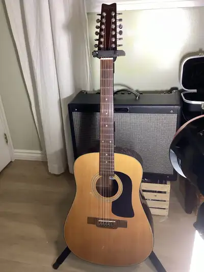 Washburn 12 string Fishman pickup, View more