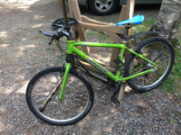 Cannondale F500 CAAD 2 with P-Bone Shock
