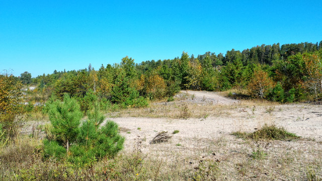 PCL 14151- Over 16 acres of vacant land close to town! in Land for Sale in Kenora - Image 2