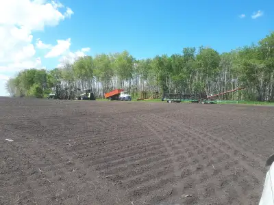 2 contiguous quarters, no stones, wide open 258 cultivated acres. Buy it now for only 1.19M or make...