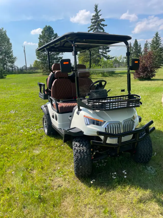 golf cart519880209744547844