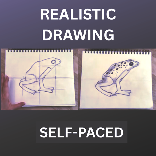 Realistic Drawing Course - 16 pre-recorded lessons!469135067480084481
