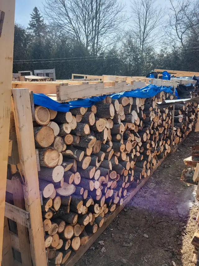GREAT DRY CAMPING FIREWOOD. 62863279739395123
