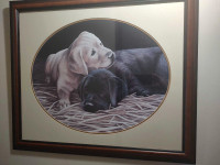Framed Labrador Retriever Prints 