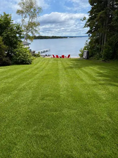 I’m Jackson, a local hardworking guy offering help with all kinds of odd jobs this summer. I do spri...