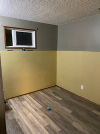 Room/basement for rent