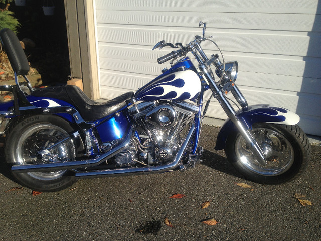 Harley Fatboy in Street, Cruisers & Choppers in Chilliwack - Image 2