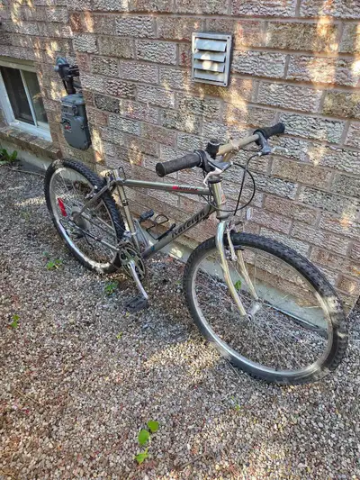 Raleigh Tarantula mountain bike, View more
