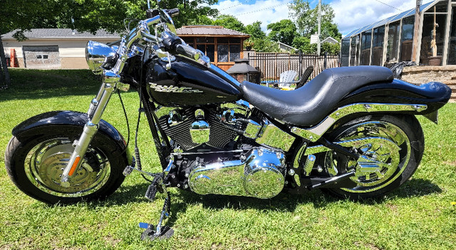 2007 Harley Davidson FXSTC Softail Montreal Low Boy in Touring in Gatineau - Image 4