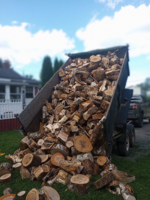 Firewood for sale, 1.6 cord, 275 delivered in mira Other Cape