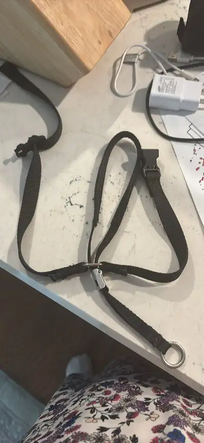 PetSafe Easy Walk Harness Large, View more