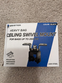Ceiling Swivel Mount (Meister)