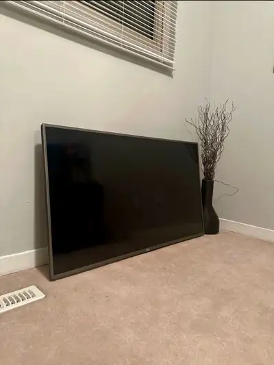 LG LED TV – FREE WALL MOUNT INCLUDED ! Great deal on a solid TV, View more
