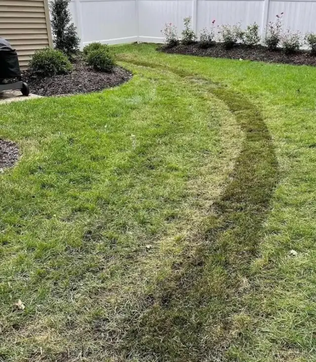 Drainage548862810632366082