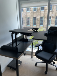 Sit Stand Desk Converter - VariDesk® Pro Plus™ 36