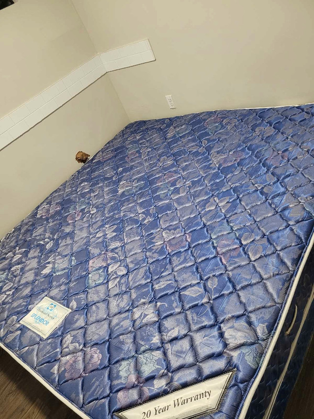 Sealy diamond series mattress  in Bedding in Calgary - Image 4