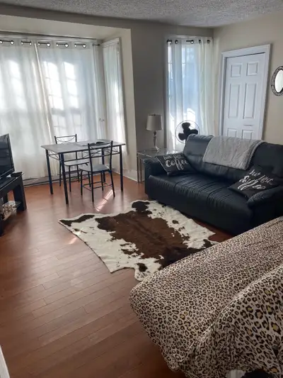BRight Downtown HFX Commons apartments AVAILABLE NOW ! JUne 3 all summer Short or Long term rental F...