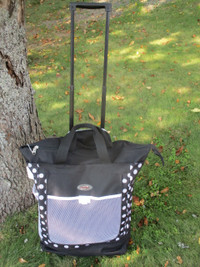 Nice Large Overnight or Weekend Bag with Pullup Handle--Like New