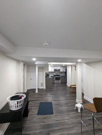 Spacious & Newly Renovated 2-Bedroom Basement Suite for Rent