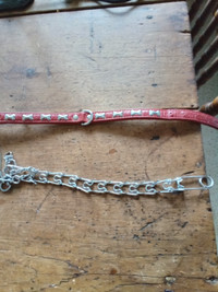 Leather dog leash and prong collar