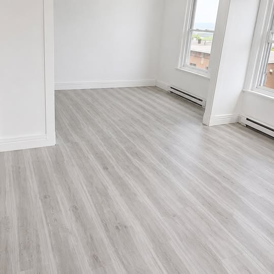 MONTCALM / 6 ET DEMI / SEMI-MEUBLÉ / 1875$ — photo 3