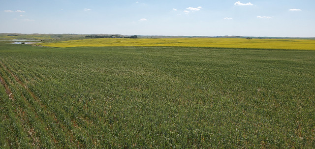 Looking For Farmland to Rent or Buy in Farming Equipment in Swift Current