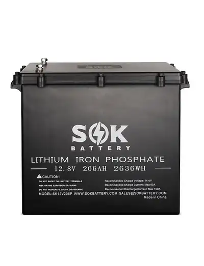 SOK LiFePO4 batteries are highly rated by Will Prowse (go see him on YouTube if you haven't heard of...