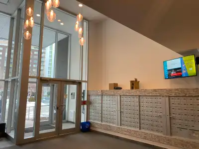 1 Bed 1 Bath Apartment