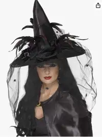 Witch Costume (Witch Hat and Dress)