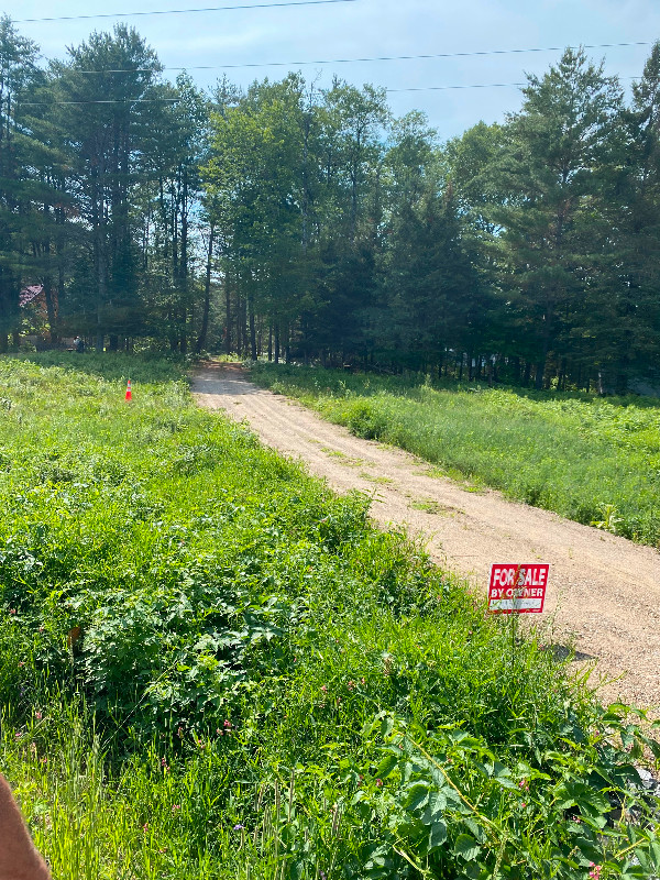 Waterfront lot for sale 1.5 acre on rivière du lièvre in Land for Sale in Gatineau - Image 3