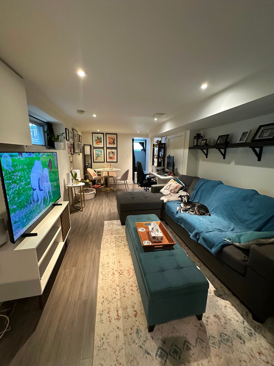 Bright 1 Bedroom lower unit in trendy Queen West 2