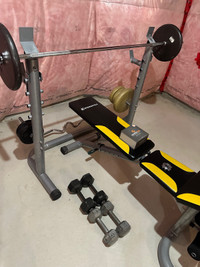 HOME GYM, BENCH, WEIGHTS, 300LB+ 